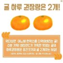 띠로리