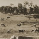 문안목장 이미지