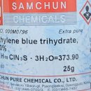 블루25(Blue 25) 이미지