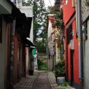 장미여인숙 이미지