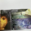 미노길 | 설명절 강릉 가볼만한곳 실내데이트 <온빛 포레스트> 단 3일 무료입장!