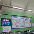 운수산 | 탄벌동 횟집 라운수산 : 오징어회 우럭 내돈내산