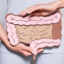 약골자전거도로 이미지