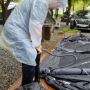 산상낙원 이미지