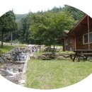 통나무펜션&편백쉼터 이미지