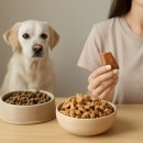 24시잠실ON동물의료센터 | 24시잠실ON동물의료센터와 함께 알아보는 반려동물 식이 관리법과 영양 기초 가이드