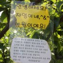 이화약초