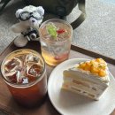 리더스독 | 노는 게 제일 좋아