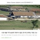 회령5일시장 이미지