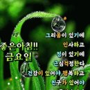 혜성은 없다 이미지