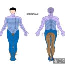턱관절·목통증·어지럼증까지, 원인은 흉쇄유돌근입니다. 이미지