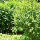 푸른동산어린이공원 이미지