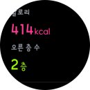 루스커스