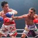 김정훈 챠밍복싱센터(칠원동점) 이미지