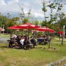 한탄강 유원지6 이미지