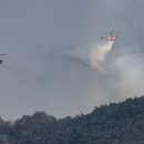 대구서변초등학교조야분교장 이미지