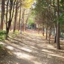 동작충효길 6코스 동작마루길 이미지