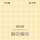 베빗님 카카오톡 테마 추천🤍