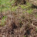 초촌농장 이미지