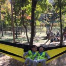 부강어린이집 이미지