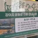 포천 대형 베이커리 카페 주말 아이와 다녀온 그리네오아시스 솔직 후기
