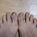 디에고푸스 구의점 초롱쌀롱 이미지