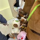 칠암동 미르치과 앞 | 진주 칠암동 두바이쫀득쿠키 카페 { 후후쿠키 }