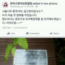 길냥이와 함께하는 이미지