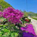 내산마루 이미지