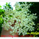 와우농장 이미지