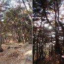 팔공산올레길 1코스 이미지