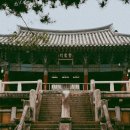 경주숲 3,4 이미지