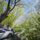 하늘꽃한의원 이미지