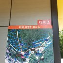 비채야영장 이미지