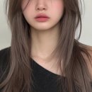 시티타이거