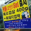 강남애니동물메디컬센터