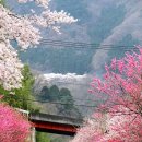 재미있는 일본어 회화 중급 이미지