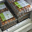 이마트에브리데이 목동점 | 계란마을 동탄목동점 난각번호 1번 내돈내산 추천 후기