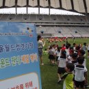 주경기장 잔디구장 이미지