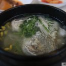 송로일식-생선초밥, 대구지리 이미지