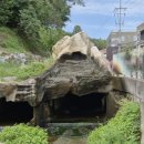 선바위메밀장터(주) 이미지