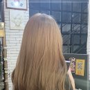 아마릴리스 헤어살롱