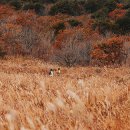 백제컨트리클럽(주) 이미지