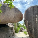 다정농장 | 세이셸 신혼여행 라디그섬 앙스 소스 다정 가는 길 유니온 에스테이트