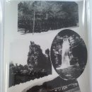 춘천고등학교 이미지