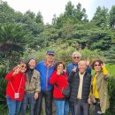 이프로 골프 | 제주도 관광버스 대절 기사 포함 즐긴 제주 전세버스 투어 후기