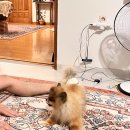 미영민박 이미지