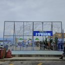 고성 명태축제에 다녀왔습니다. 이미지