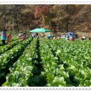 은하네농장 이미지