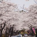 창원기계공업고등학교 이미지